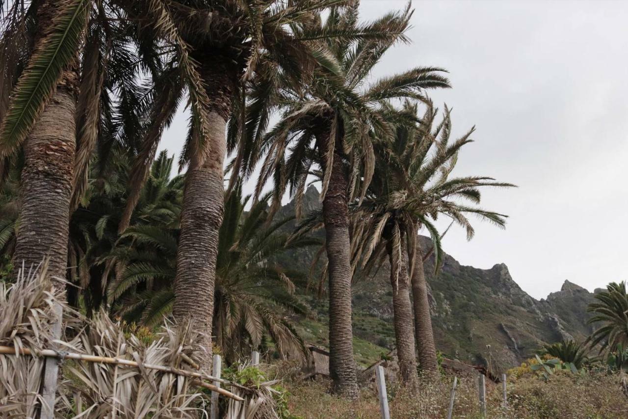 Oasis Atlantico: Rincon Secreto Al Pie De Los Senderos Azano Exteriér fotografie